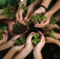 Hoy es el ?Día Mundial de la Educación Ambiental?