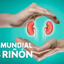 Día Mundial del Riñón: estás son las actividades en Salta