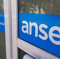 Se vienen cuatro nuevos planes de ANSES que dan hasta casi 18.000 pesos