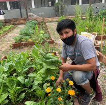 Hoy habrá un taller de compost y separación de residuos gratuito