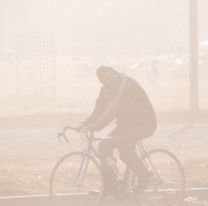 Hay alerta meteorológica: se viene el viento zonda