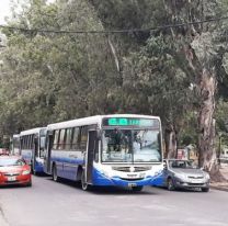 Así funcionará SAETA a partir de las medidas del COE