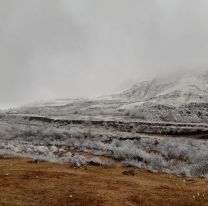 La nieve llegó a distintos puntos de la provincia