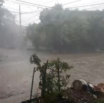 Caída de árboles y voladura de techos: así quedó Orán tras la fuerte tormenta