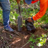 Hoy habrá una nueva jornada de plantación y ecolimpieza en el cerro San Bernardo