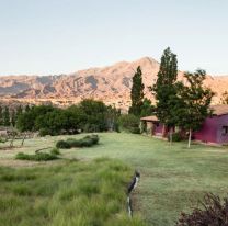 Un jardín en los Valles Calchaquíes que respeta la gama de tonos de las montañas