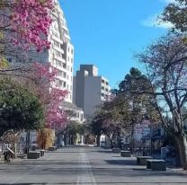 Después de un finde largo caluroso y con viento, te contamos como vienen las temperaturas esta semana