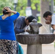 Despejado y con calor: hoy estará ideal para comer mandarinas al sol