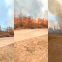 Intentan controlar un incendio cerca de Cachorros