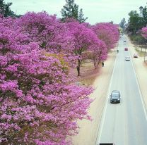 Salvador Mazza celebró el 75° aniversario de la creación de su municipio