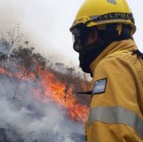 Preocupan los incendios forestales que ya arrasaron con unas 10 mil hectáreas