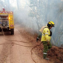 Continúa el amplio operativo de sofocamiento de incendios forestales en Salta