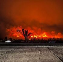 Son más de 12.000 hectáreas las que se quemaron en Orán