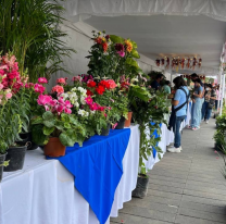 Feria de Plantas y flores: talleres y parquización junto a productores en la Usina Cultural