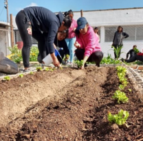 Se abrió una nueva huerta comunitaria en zona sur