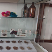 Botiquín Mágico: Muestra sobre curandería y medicina casera en el Museo de Antropología