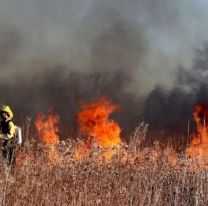 El incendio de Colonia Santa Rosa ingresó a Jujuy