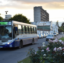 Día Nacional del Trabajador del Transporte de Pasajeros, ¿por qué se celebra el 10 de enero?