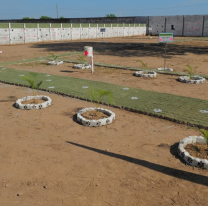 Salta tiene el primer cementerio municipal para mascotas, está en Orán