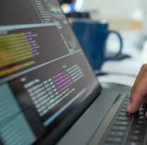 Alumnos salteños podrán aprender programación gratis ¿Cómo anotarse?