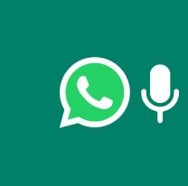 Salteña creó un bot que desgraba audios de WhatsApp