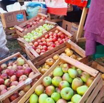 Se viene la Feria de Pequeños Productores en Chicoana