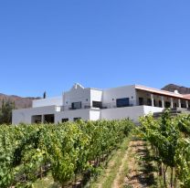 Bodega salteña fue reconocida como una de las mejores productoras de vino del mundo