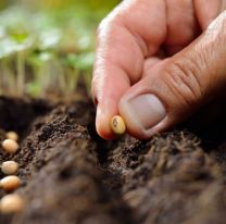 Se entregarán semillas de la temporada otoño invierno para huertas en Campo Quijano