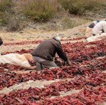 Payogasta y Cachi capacitan a pequeños productores Agrícolas 