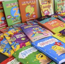 Salta recibió más de 400.000 libros para destinar a niños de primaria