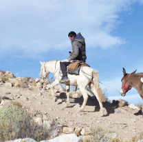 Comenzó el traslado de urnas hacia las distintas localidades de difícil acceso en Salta