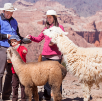 Agenda cultural: te contamos qué hacer este fin de semana en Salta