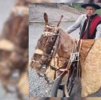 Gaucho sorprende al transformar su moto en un caballo para poder desfilar