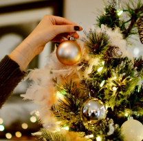 ¿Por qué se arma el arbolito de Navidad hoy viernes 8 de diciembre?