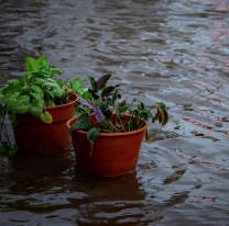 Tiempo en Salta: se esperan tormentas fuertes en la ciudad