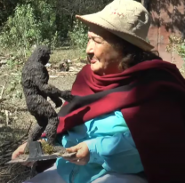 "Vive cerca de mi casa" salteña dice haber visto tres veces al Ucumar