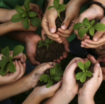 Hoy es el "Día Mundial de la Educación Ambiental"