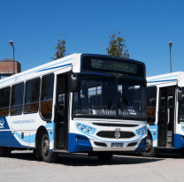 Hoy quedó habilitado el servicio de transbordo de Saeta