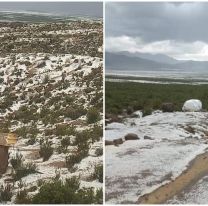 Localidad salteña amaneció totalmente blanca: "Esta hermosa"