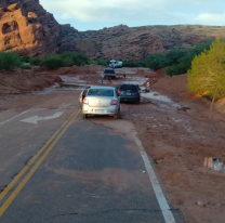 Atención salteños y turistas: piden circular con precaución por la ruta 68, cerca de Cafayate