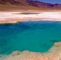 Los extremófilos de los ojos de mar ubicados en Tolar Grande ya no existen