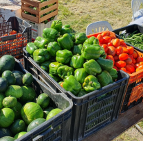 "El mercado en tu barrio" llega con super descuentos a la plaza España