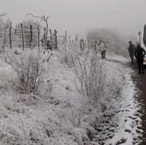 Tiempo en Salta: en varias zonas de Salta podría nevar este fin de semana