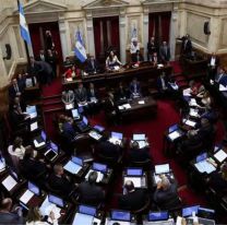 Los senadores volverán a recibir un aumento de sueldo y pasarán a cobrar $8 millones