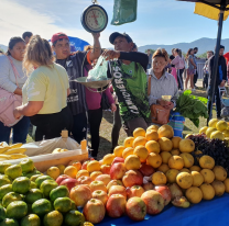  "El mercado en tu barrio" llega a zona sur con super descuentos