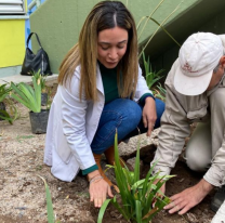 Los Parques Urbanos donaron plantines al Hospital Materno Infantil