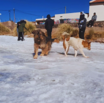 La sensación térmica llegó esta mañana a los -7º C. en Salta