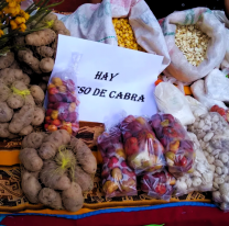 Campo Quijano se prepara para la "Fiesta de la Papa Andina"