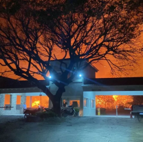 El viento zonda causó incendios en varios puntos de la ciudad y caídas de postes