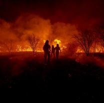 En Salta hay más de 1.600 hectáreas afectadas por los incendios en lo que va de la temporada